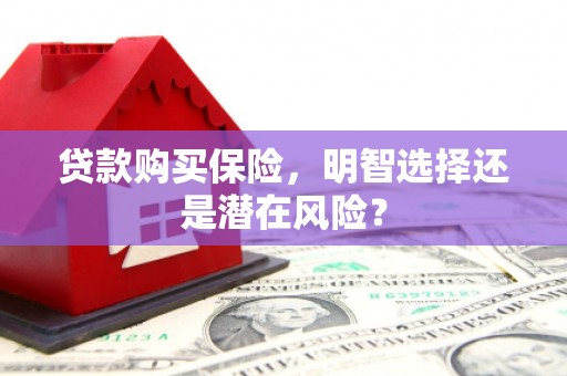 东势贷款购买保险，明智选择还是潜在风险？
