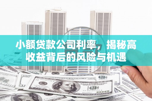 东势小额贷款公司利率，揭秘高收益背后的风险与机遇