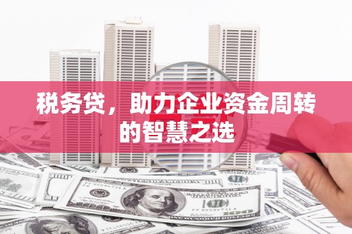 东势税务贷，助力企业资金周转的智慧之选