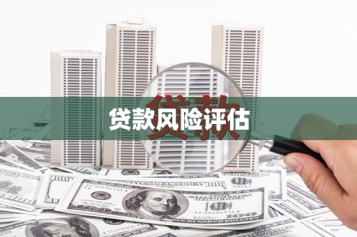 东势贷款风险评估