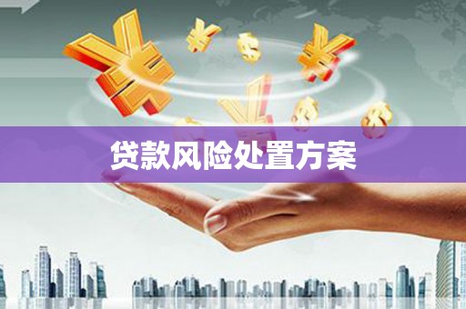 东势贷款风险处置方案
