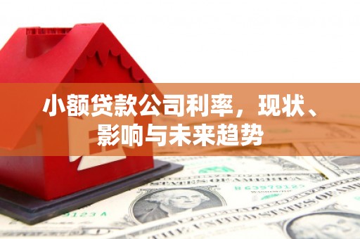 东势小额贷款公司利率，现状、影响与未来趋势