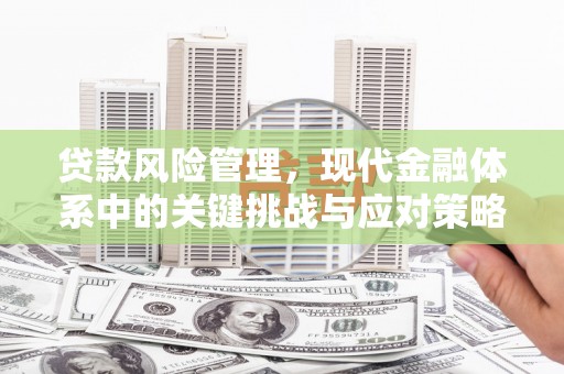 东势贷款风险管理，现代金融体系中的关键挑战与应对策略