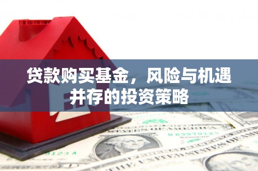 东势贷款购买基金，风险与机遇并存的投资策略
