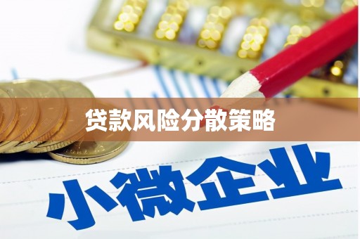 东势贷款风险分散策略
