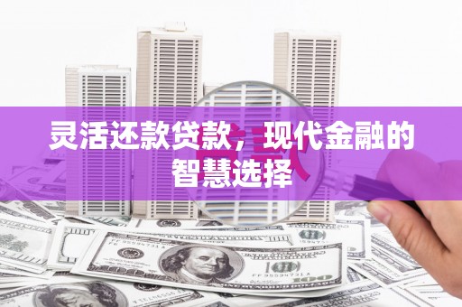 东势灵活还款贷款，现代金融的智慧选择