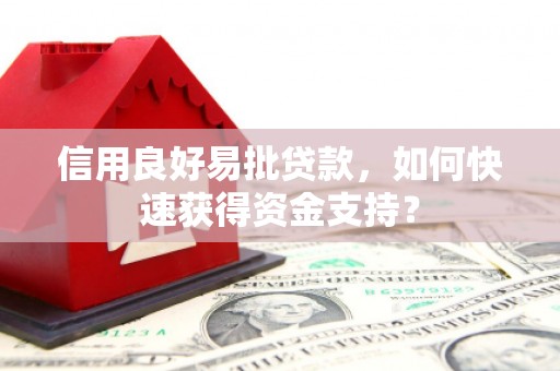 东势信用良好易批贷款，如何快速获得资金支持？