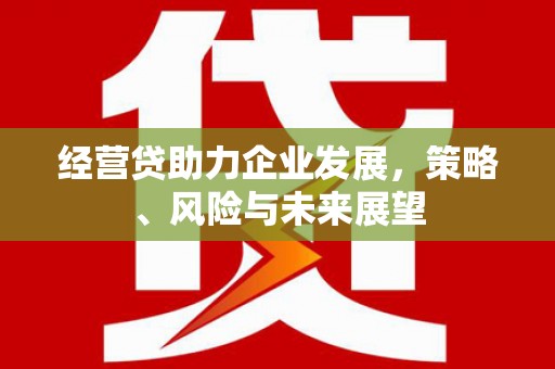 东势经营贷助力企业发展，策略、风险与未来展望