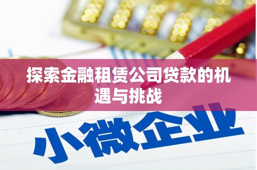 东势探索金融租赁公司贷款的机遇与挑战