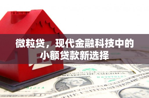 东势微粒贷，现代金融科技中的小额贷款新选择
