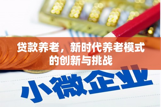 东势贷款养老，新时代养老模式的创新与挑战