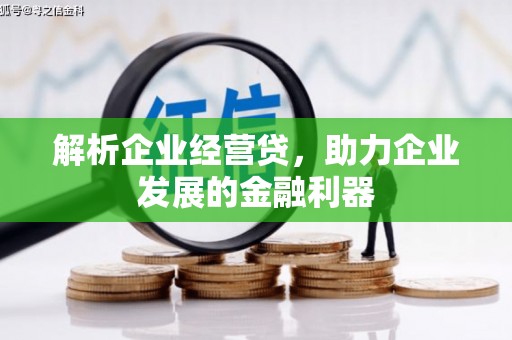 东势解析企业经营贷，助力企业发展的金融利器