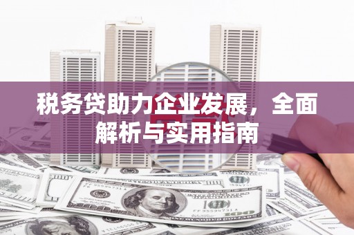 东势税务贷助力企业发展，全面解析与实用指南