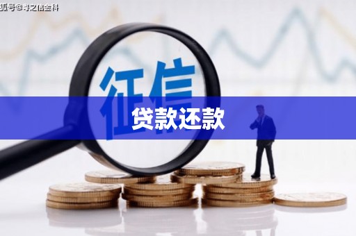 东势贷款还款