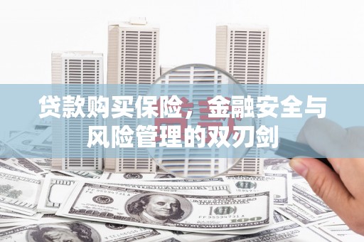 东势贷款购买保险，金融安全与风险管理的双刃剑