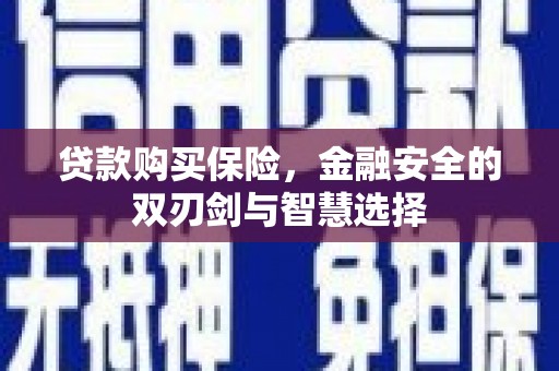 东势贷款购买保险，金融安全的双刃剑与智慧选择