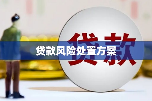 东势贷款风险处置方案