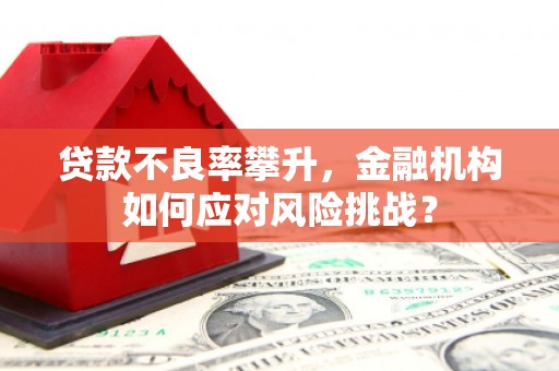 东势贷款不良率攀升，金融机构如何应对风险挑战？