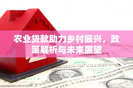 东势农业贷款助力乡村振兴，政策解析与未来展望
