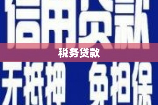 东势税务贷款