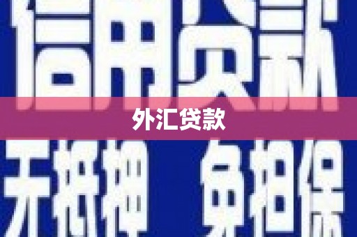 东势外汇贷款