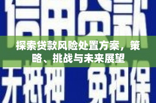 东势探索贷款风险处置方案，策略、挑战与未来展望