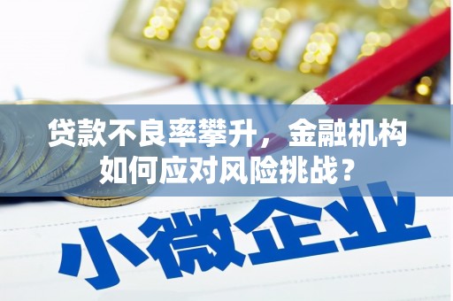 东势贷款不良率攀升，金融机构如何应对风险挑战？