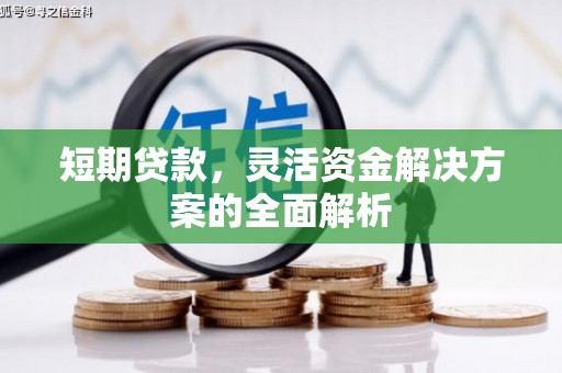 东势短期贷款，灵活资金解决方案的全面解析