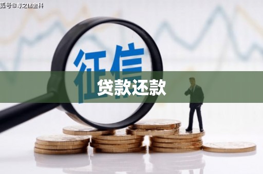 东势贷款还款