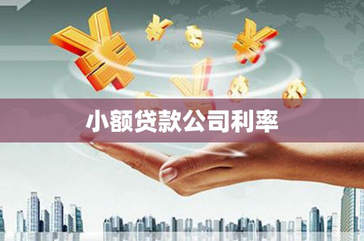 东势小额贷款公司利率