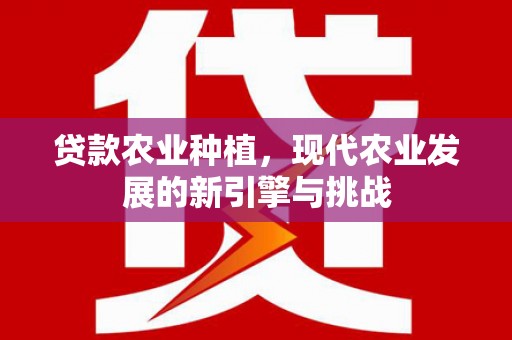 东势贷款农业种植，现代农业发展的新引擎与挑战