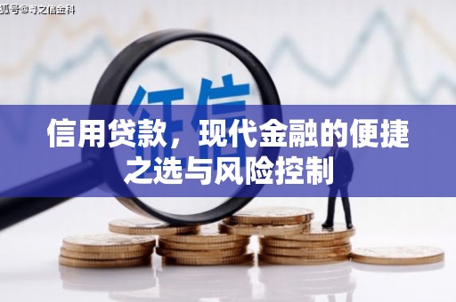 东势信用贷款，现代金融的便捷之选与风险控制