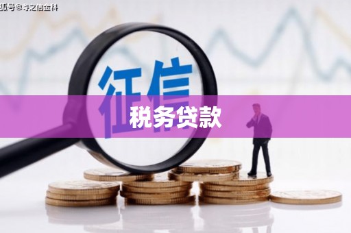 东势税务贷款