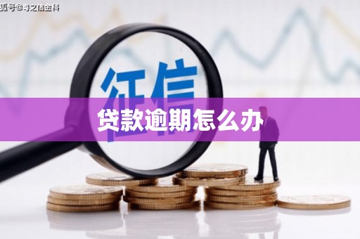 东势贷款逾期怎么办