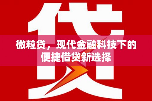 东势微粒贷，现代金融科技下的便捷借贷新选择