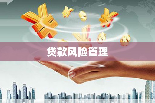 东势贷款风险管理