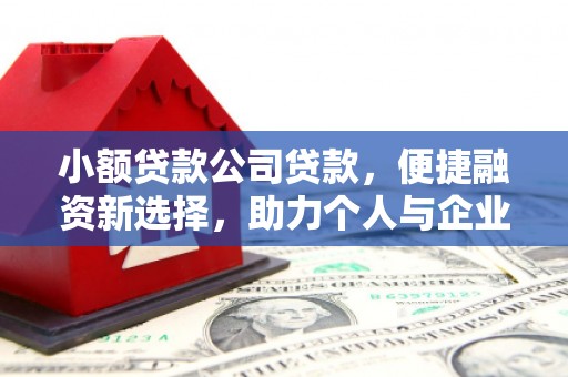 东势小额贷款公司贷款，便捷融资新选择，助力个人与企业成长