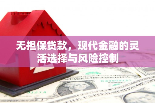东势无担保贷款，现代金融的灵活选择与风险控制