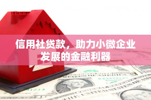 东势信用社贷款，助力小微企业发展的金融利器