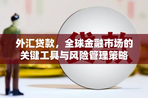 东势外汇贷款，全球金融市场的关键工具与风险管理策略