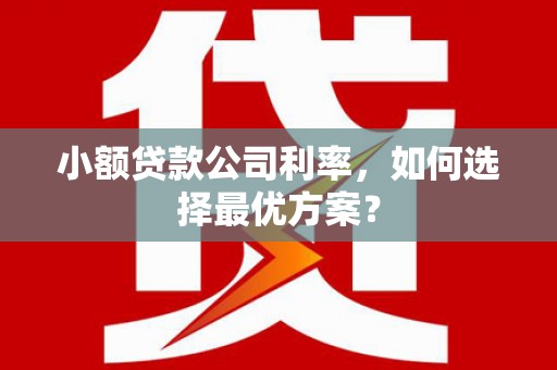 东势小额贷款公司利率，如何选择最优方案？