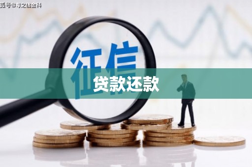 东势贷款还款