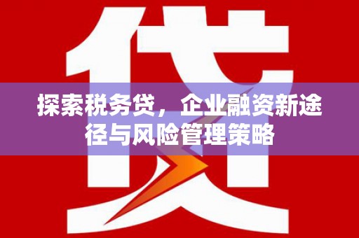 东势探索税务贷，企业融资新途径与风险管理策略