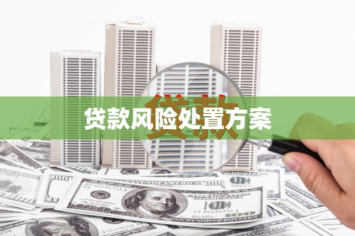 东势贷款风险处置方案