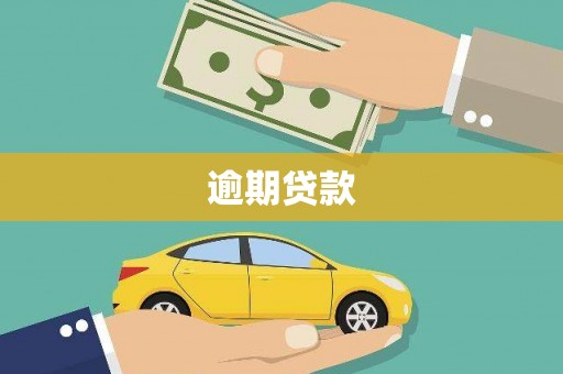 东势逾期贷款