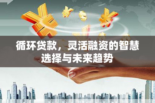 东势循环贷款，灵活融资的智慧选择与未来趋势