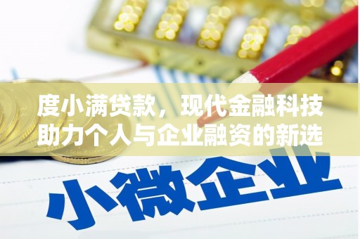 东势度小满贷款，现代金融科技助力个人与企业融资的新选择