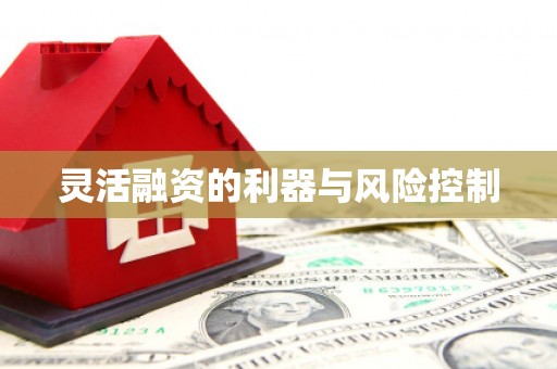 东势灵活融资的利器与风险控制