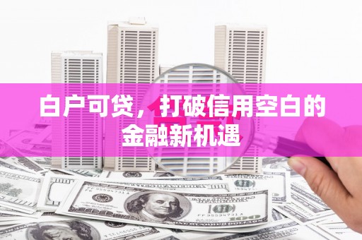 东势白户可贷，打破信用空白的金融新机遇