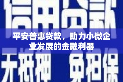 东势平安普惠贷款，助力小微企业发展的金融利器